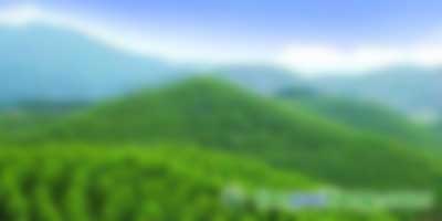 我國(guó)發(fā)展低碳經(jīng)濟(jì)的機(jī)遇、挑戰(zhàn)及路徑