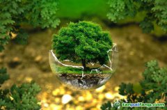 控排企業(yè)碳資產(chǎn)管理代運(yùn)營(yíng)：配額籌劃、合規(guī)化改造等數(shù)據(jù)優(yōu)化、碳交易金融化思維